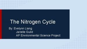 Nitrogen cycle diagram