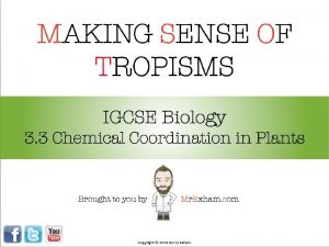 Tropism igcse biology