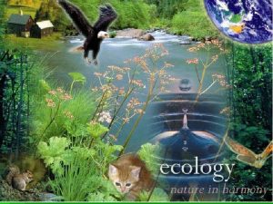 Objectives of ecology