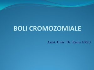 Radu ursu