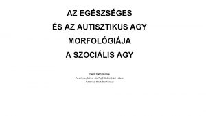 AZ EGSZSGES S AZ AUTISZTIKUS AGY MORFOLGIJA A