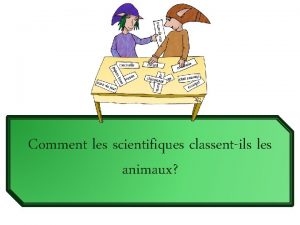 Comment les scientifiques classentils les animaux Voici la