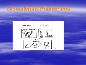 Polmeros