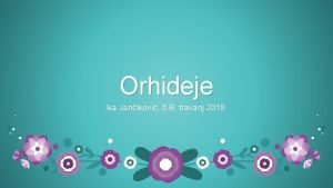 Orhideje Ika Janikovi 5 B travanj 2018 Orhideje