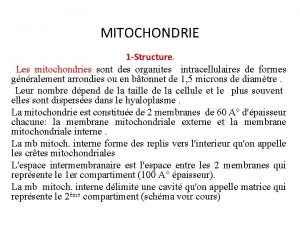 MITOCHONDRIE 1 Structure Les mitochondries sont des organites