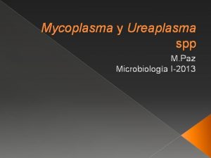 Mycoplasma y Ureaplasma spp M Paz Microbiologa I2013