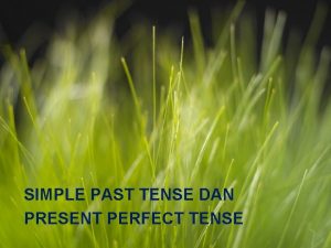 Past tense dan present tense