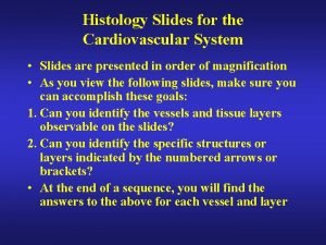 Histology Slides for the Cardiovascular System Slides are