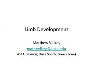 Limb Development Matthew Velkey matt velkeyduke edu 454