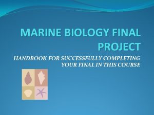 Marine biology project ideas