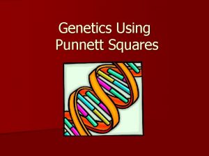 Genetics Using Punnett Squares Early Genetics The study