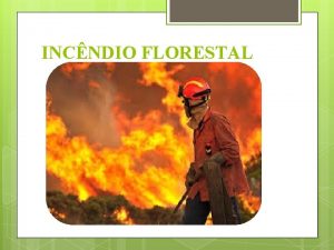 INCNDIO FLORESTAL Formao e Treinamento de Brigada de