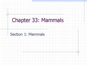 Chapter 33 Mammals Section 1 Mammals Mammals Includes
