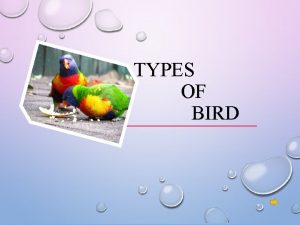 TYPES OF BIRD TYPES OF PETS Welcome Types