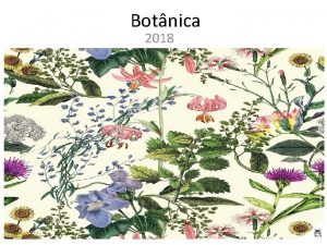 Botnica 2018 Reino Vegetal Origem evolutiva 500 milhes