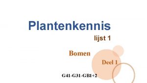 Plantenkennis lijst 1 Bomen Deel 1 G 41