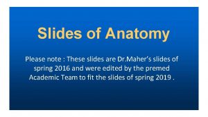 Anatomy slides Anatomy slides