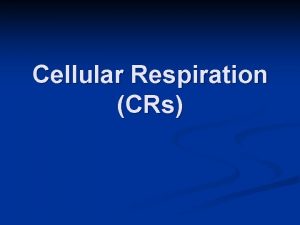 Cellular Respiration CRs Why is CRs Important Cellular