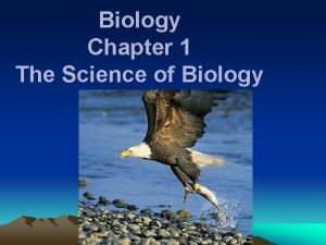 Biology Chapter 1 The Science of Biology Section