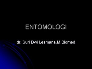 ENTOMOLOGI dr Suri Dwi Lesmana M Biomed PENDAHULUAN