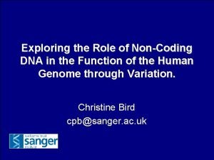 Exploring the Role of NonCoding DNA in the