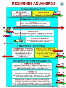 Regimenes aduaneros definitivos