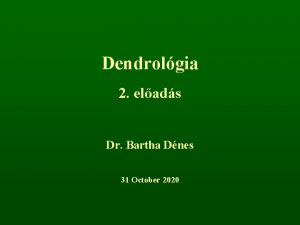 Dendrolgia