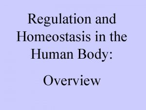 Regulation and Homeostasis in the Human Body Overview