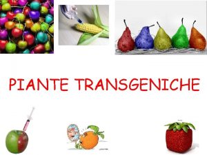 Tipi di piante transgeniche