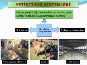 YETTRME SSTEMLER Hayvan yetitiriciliinde verimlerin artrlmas evre artlar