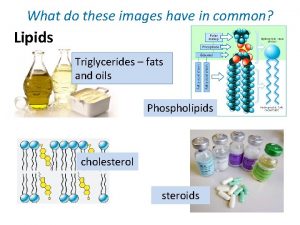 What are triglycerides