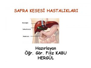 SAFRA KESES HASTALIKLARI Hazrlayan r Gr Filiz KABU