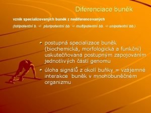 Diferenciace bunk vznik specializovanch bunk z nediferencovanch totipotentn