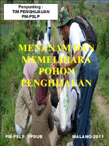 Penyunting TIM PENGHIJAUAN PMPSLP MENANAM DAN MEMELIHARA POHON