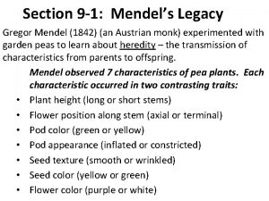 Section 9-1 review mendels legacy