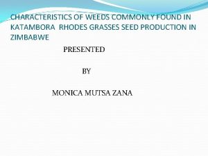 CHARACTERISTICS OF WEEDS COMMONLY FOUND IN KATAMBORA RHODES