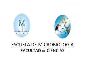 ESCUELA DE MICROBIOLOGA FACULTAD DE CIENCIAS NFASIS MICROBIOLOGIA