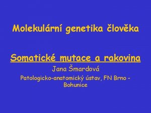 Jana šmardová Jana šmardová
