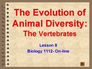 The Evolution of Animal Diversity The Vertebrates Lesson