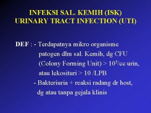 INFEKSI SAL KEMIH ISK URINARY TRACT INFECTION UTI