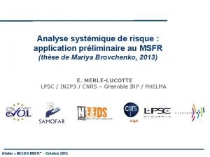 Analyse systmique de risque application prliminaire au MSFR