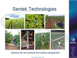Sentek soil moisture