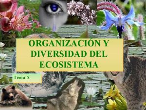 ORGANIZACIN Y DIVERSIDAD DEL ECOSISTEMA Tema 5 organizacin