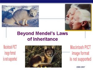 Beyond Mendels Laws of Inheritance AP Biology 2006