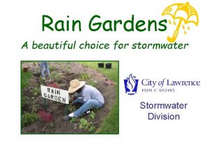 Rain Gardens A beautiful choice for stormwater Stormwater
