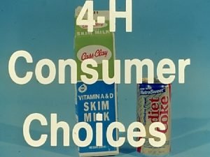 4 H Consumer Choices Judging Three Age Divisions