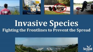 Characteristics of invasive species