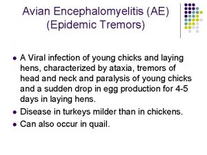 Avian Encephalomyelitis AE Epidemic Tremors l l l