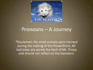 Possessive pronouns for animals