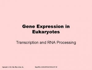 Gene Expression in Eukaryotes Transcription and RNA Processing